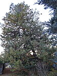 DSC04859