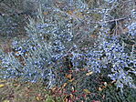 DSC04860