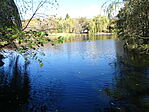 DSC04832