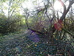 DSC04871
