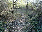 DSC04873