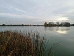 Messze
