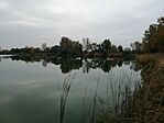 Közelebb