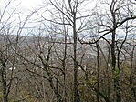 IMG_5492