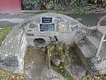 IMG_20231101_113317618_MFNR