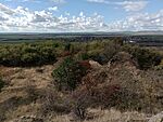 IMG_20231101_120345373_MFNR