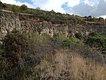 IMG_20231101_120330449_MFNR