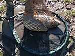 IMG_20231101_131640030_MFNR