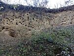 IMG_20231101_141445215_MFNR
