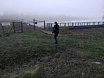 IMG_20231121_160207087_MFNR