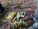IMG_20231125_115433503_MFNR
