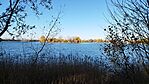 IMG_20231125_083538.jpg