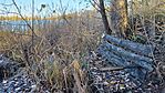IMG_20231125_083619.jpg