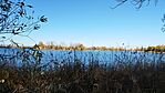 IMG_20231125_083623.jpg