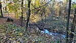IMG_20231125_093243