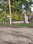 IMG_20231116_142842