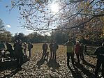 IMG_20231125_114252