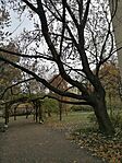 IMG_20231127_124616