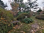 IMG_20231127_125047