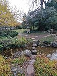 IMG_20231127_125310
