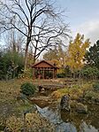 IMG_20231127_125504