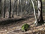 IMG_9413