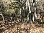 IMG_9412