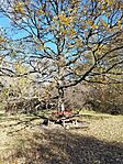 IMG_20231125_120708