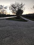 IMG_20231125_161247