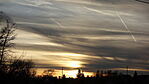 DSC04443