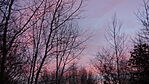 DSC04470