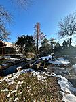 IMG_1337