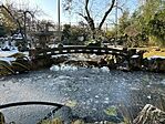 IMG_1335