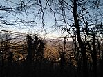 IMG_20231203_104333