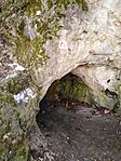 IMG_20231203_104126
