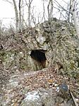 IMG_20231203_104149