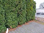 IMG_20231221_095704