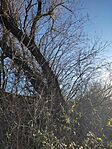 IMG_20231227_141433