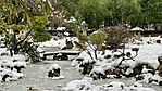 IMG_0490
