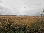 IMG_20231117_125708