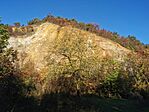 IMG_20231106_075543