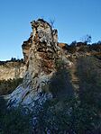 IMG_20231106_080826