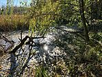 IMG_2943