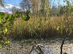 IMG_2945