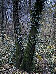 IMG_3263