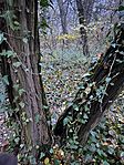 IMG_3261