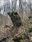 IMG_3757