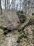 IMG_3759