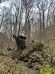 IMG_3760