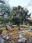 IMG_20231204_152119.jpg